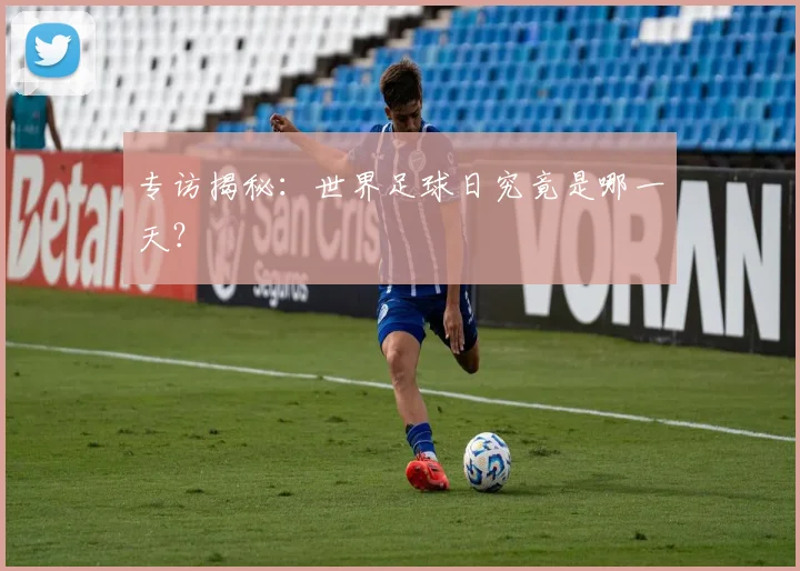 专访揭秘:世界足球日究竟是哪一天?